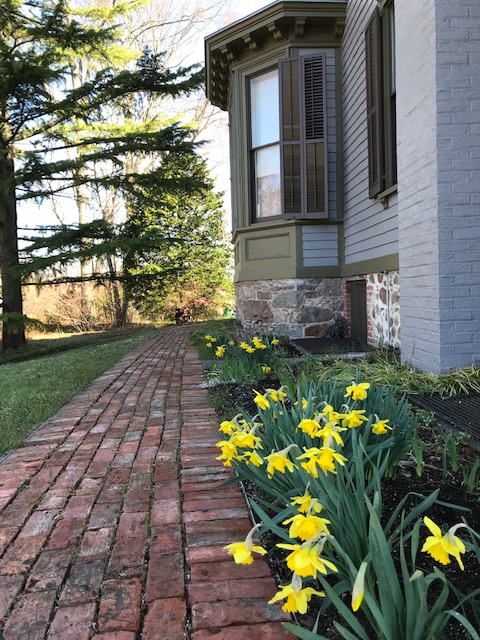 Morris Co. History tweet media