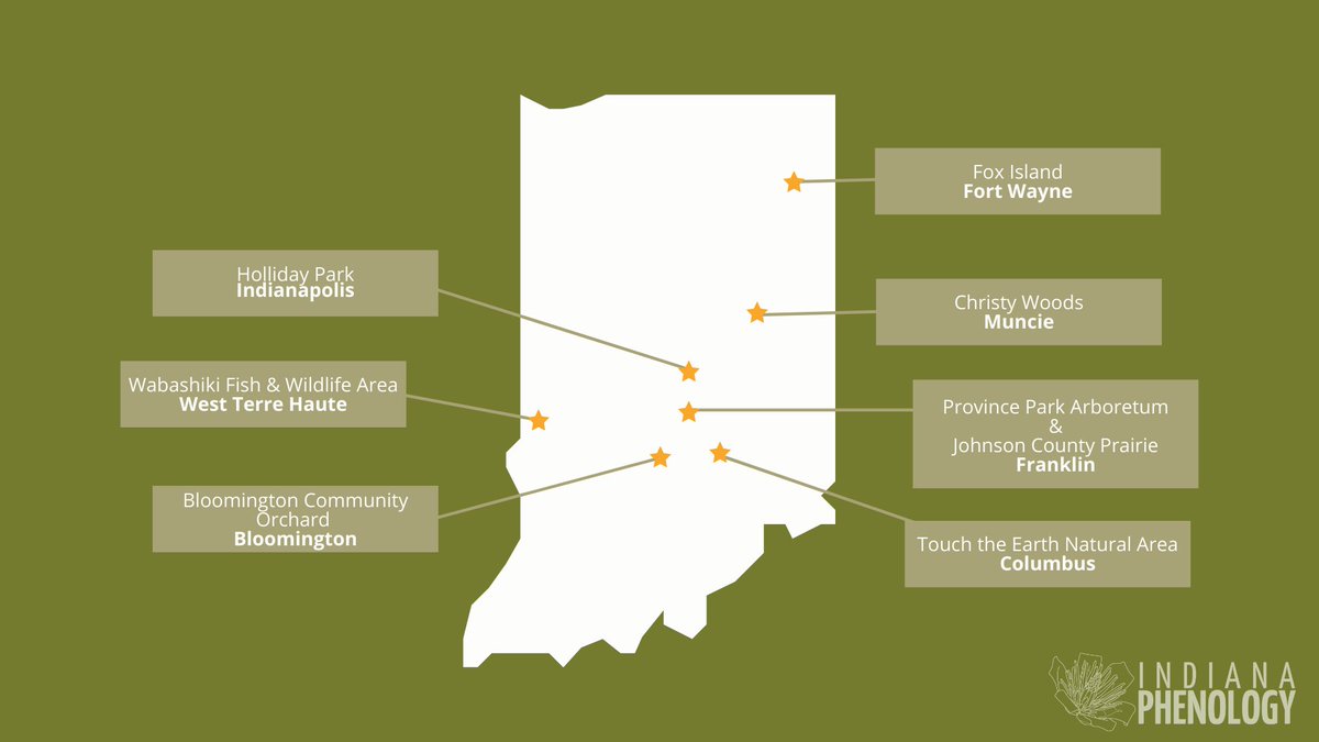 IndianaChanges's tweet image. Looking for something to do this weekend? Why not explore a phenology trail? Download Nature's Notebook and get ready for some citizen science! indianaphenology.org/programs/trails