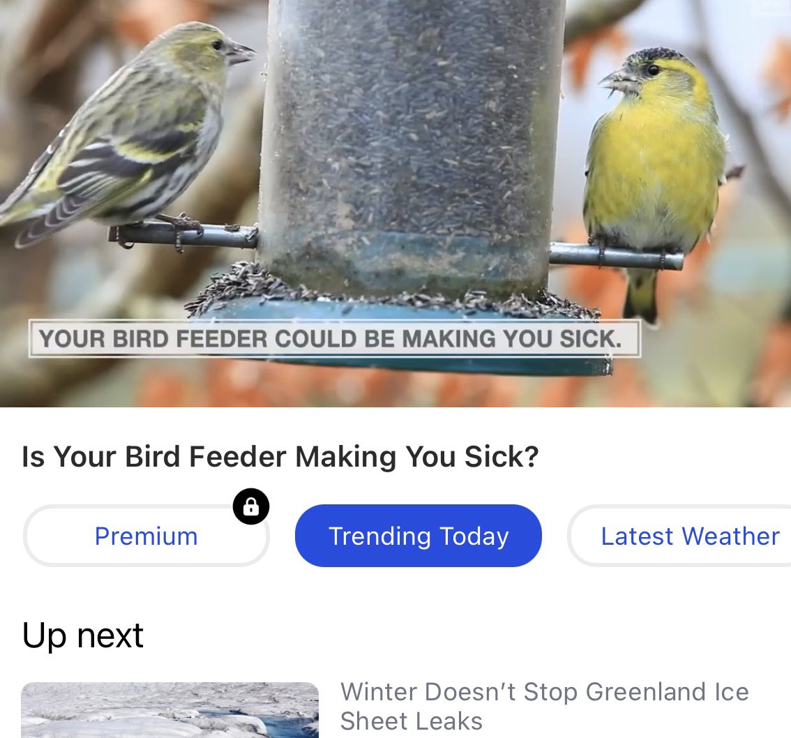 Who doesn’t see this headline and NOT think about <a href="/APurpleLifeBlog/">A Purple Life</a> ?? 🙀