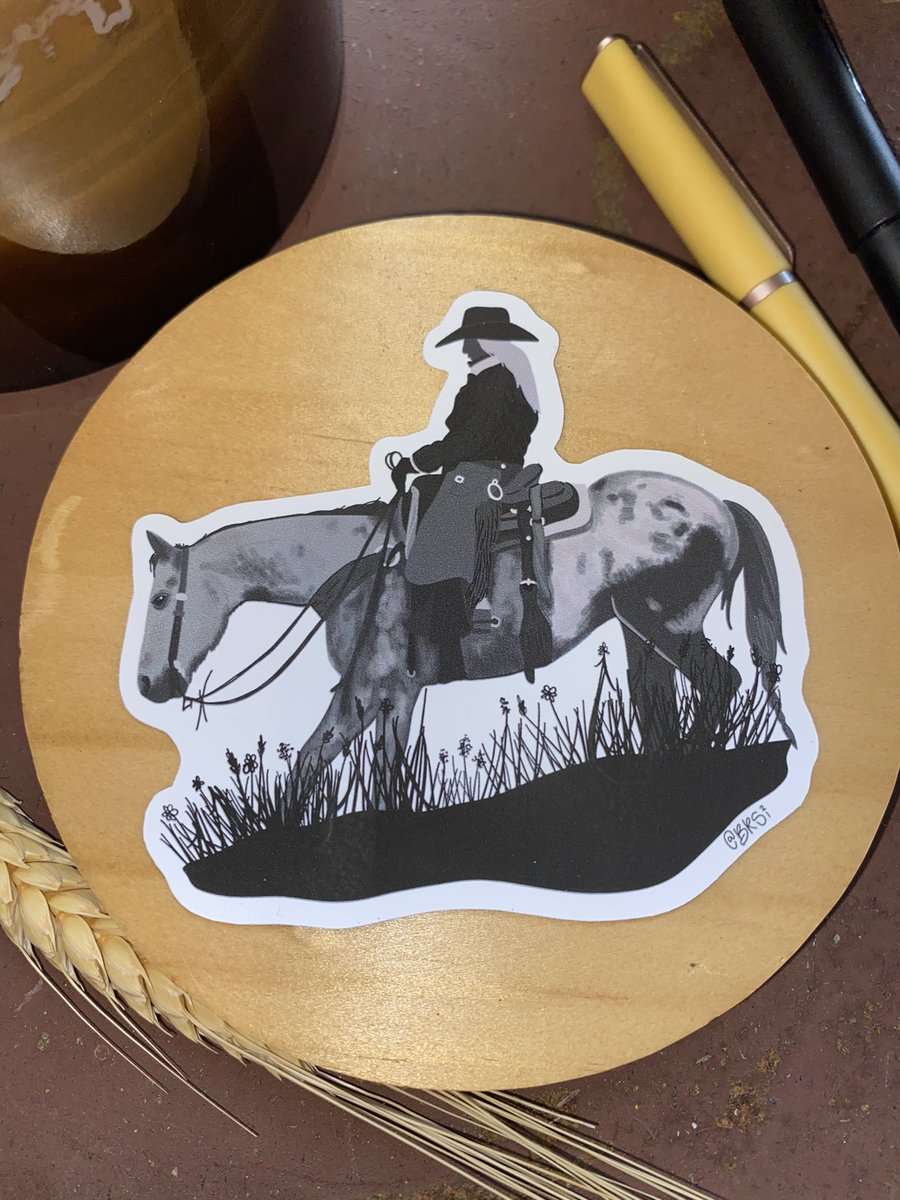 Bison Range Studio tweet media