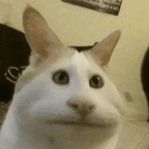 соня? (@sssssofiiiis) on Twitter photo 