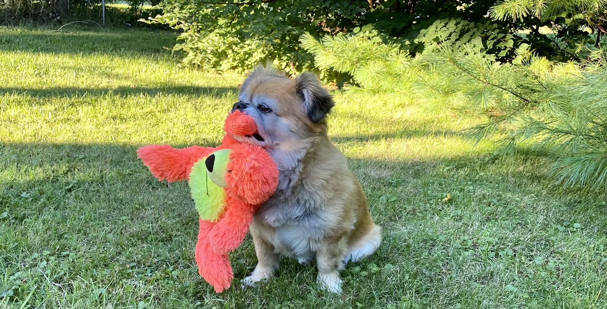 Lil’Roco tweet media