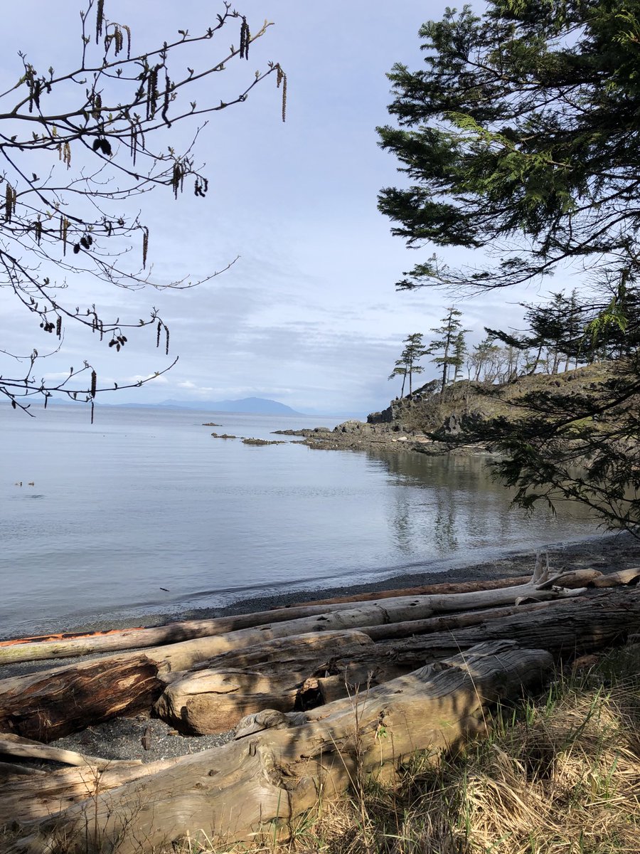 tinykarin's tweet photo. The beauty on our run this morning 
#ocean #BCcoast #trails #nature #NeckPoint https://t.co/6WVXs2PpUC