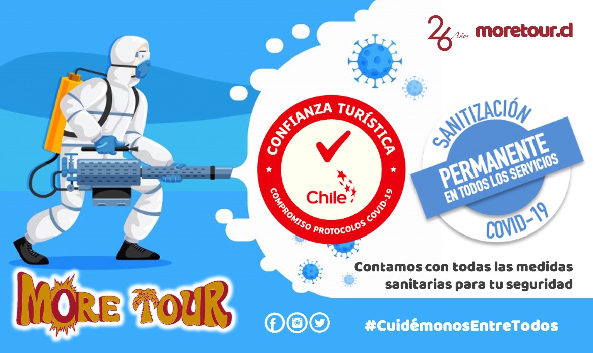 moretour_chile's tweet photo. Transporte de Personal y Turismo con 
Certificados en Protocolos Covid19  #transporteprivado
#transportedetrabajadores 
Cotiza con nosotros #moretourchile

Con Seguridad, Comodidad y Puntualidad en estos 26 Años de Servicios nos Avalan

WhatsApp +56998851045
info@moretour.cl https://t.co/5OQaMDFwZB