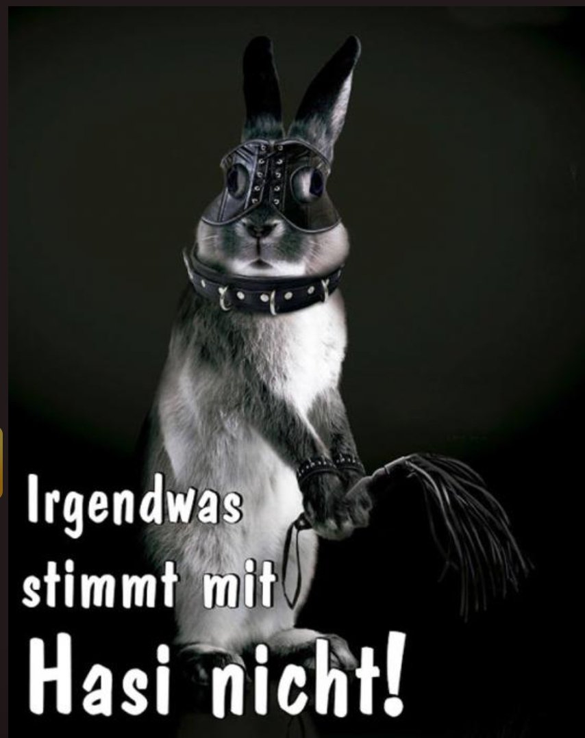 FindomSecret's tweet photo. Karfreitag ist die Nacht des Schmerzes, Subs!

#BDSM
#BDSM
#Zahlsklave
#Findom https://t.co/eeosduCYT2