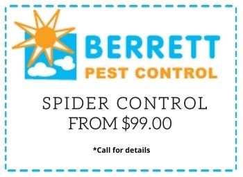 BestPestDallas's tweet photo. -------Berrett Pest Control Dallas TX-----

Berrett Pest Control from $99. Serving Dallas and Fort Worth TX Call 214-242-4800 or Visit: https://t.co/KS4sVgKdcu

#dfwpestcontrol #dallaspestcontrol https://t.co/rPQDQOleqb