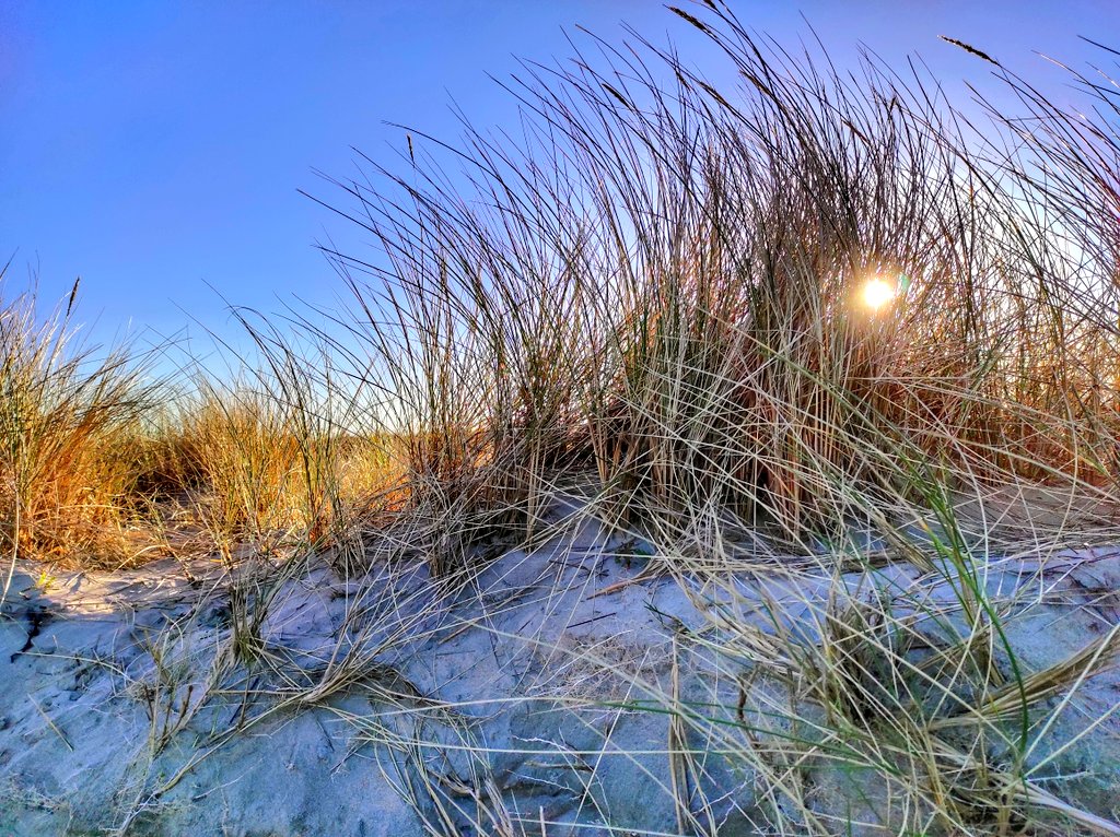 s_ocearbhaill's tweet photo. Luí na Gréine, An Mullach Mór, Co. Shligigh #SlíanAtlantaighFhiáin
Sunset, Mullaghmore, Co. Sligo. #WildAtlanticWay #WAW @WAWHour #Sligo #Dartry #BenBulben #Truskmore #Tievebaun #Benwiskin https://t.co/h3c7VQXE8K