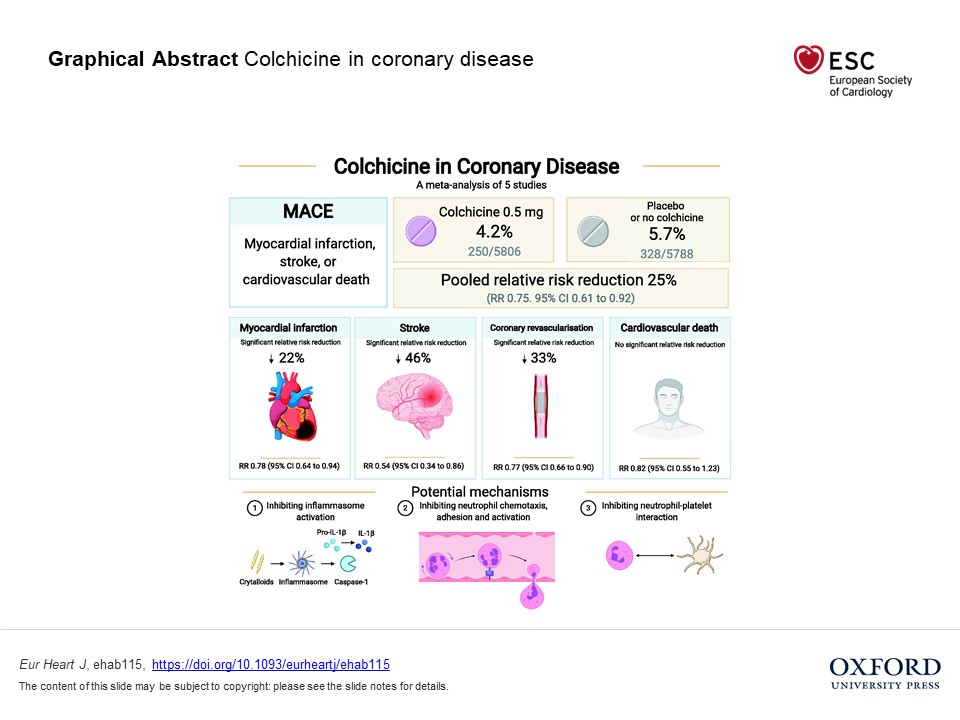 ehj_ed's tweet photo. Efficacy and safety of low-dose colchicine in patients with coronary disease: a systematic review and meta-analysis of randomized trials: now in EHJ
https://t.co/DixnAI1S0K
#cardiotwitter @ESC_Journals @escardio https://t.co/vVFrl1ePss