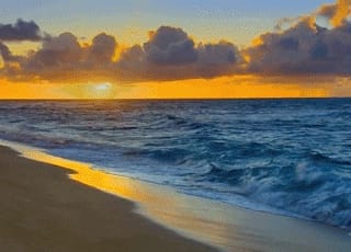 #ixtapadrisimo RT® tweet media