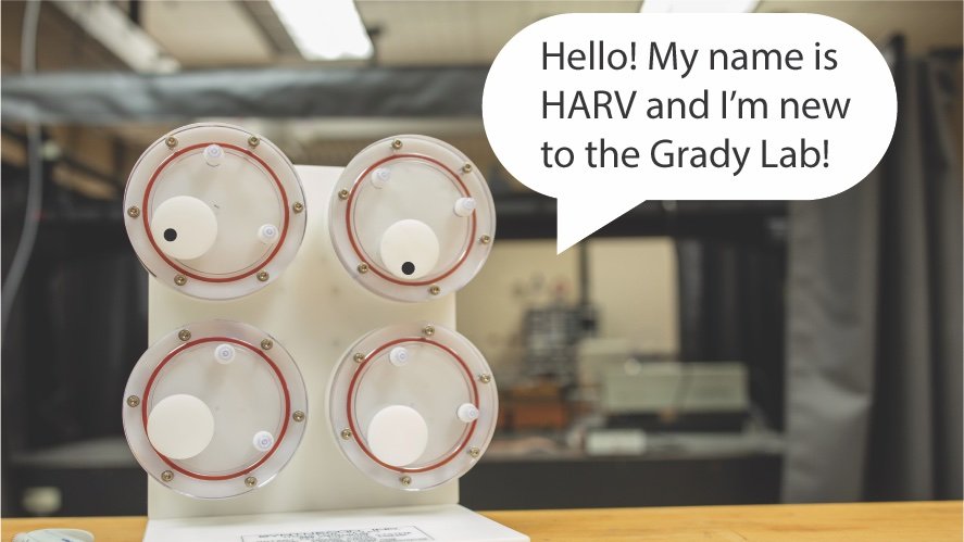 TheGradyLab's tweet image. Welcome HARV! Hope you find @Mhaame_ab 's microgravity experiments uplifting.