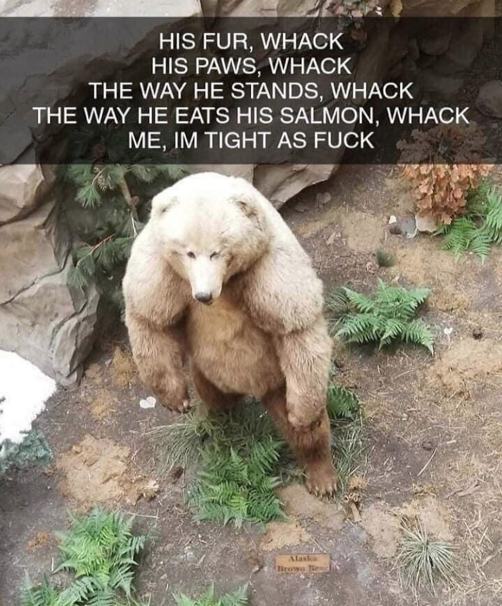 MensHumor's tweet photo. Swolar Bear https://t.co/WmTxyzpJNW