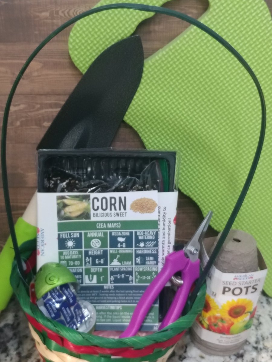 DemetersWay's tweet image. The best place to start gardening is with a single crop! We have starter kits in the Facebook Market Place
facebook.com/marketplace/it…
#HappyGardening #UrbanFarming #GrowYourOwnFood #DemetersWay