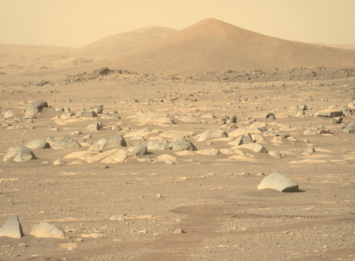 totalspace360's tweet photo. The newest images of the Martian surface taken by NASA’s Perseverance rover! https://t.co/g3RiYF8EMG