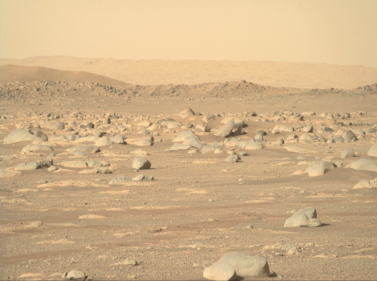 totalspace360's tweet photo. The newest images of the Martian surface taken by NASA’s Perseverance rover! https://t.co/g3RiYF8EMG