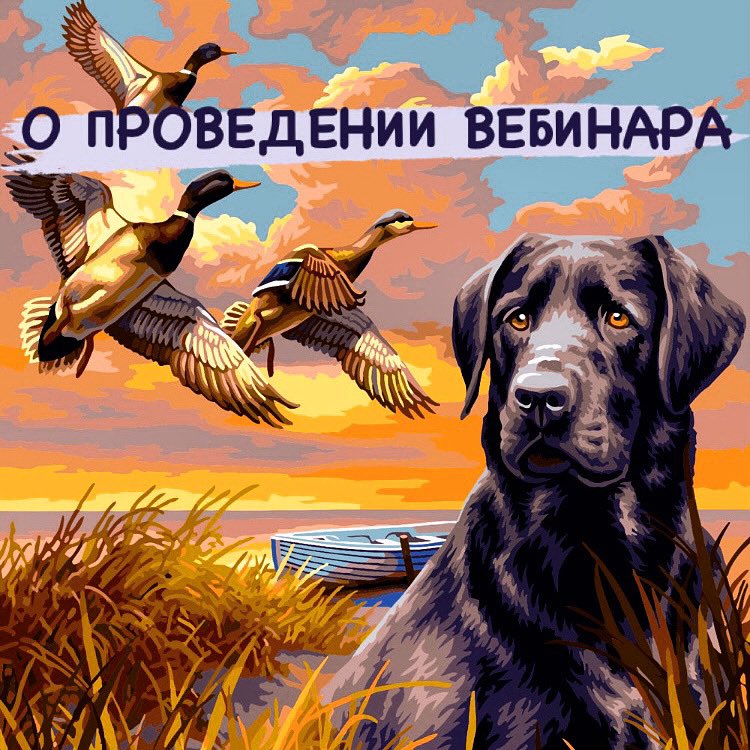 почту департамента dor@dor.samregion.ru (в теме письма указать «Для вебинара»).

Запись вебинара будет доступна на официальном сайте департамента в разделе: Главная/Информационные материалы/Видеоматериалы/