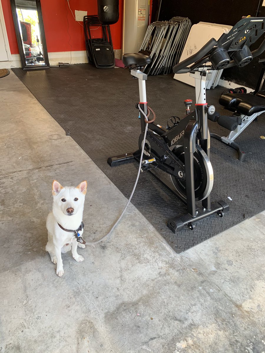 danricdel's tweet photo. Say hello to my little friend https://t.co/D0HeVahc0U