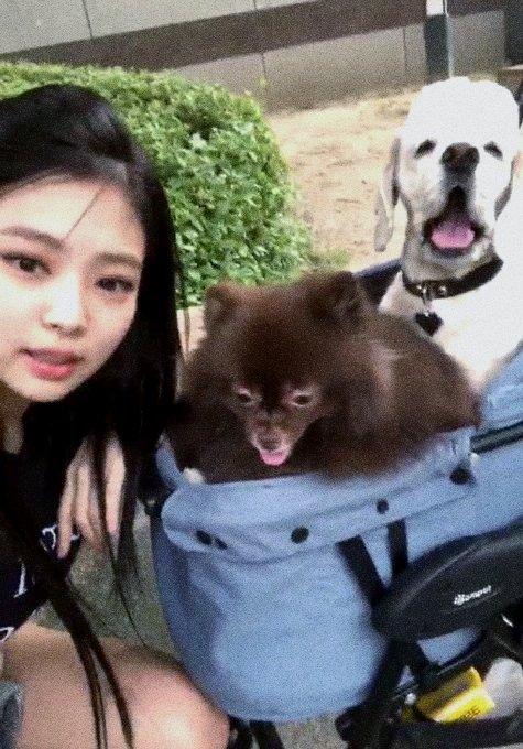 ᤢꪶ 

01.04. #CocoBirthdayRB ː

—Jen había ido con <a href="/JnginB/">K a i</a>, <a href="/theBlckSwxn/">Odile</a>, <a href="/SwxnPrncss/">Odette</a> y sus dos perritos a la fiesta de cumpleaños de Coco en casa de <a href="/ChoiYunye_B/">Youngjae🎗️</a>. La familia solía consentir mucho a sus mascotas así que la idea de esa fiesta les parecía fantástica.—