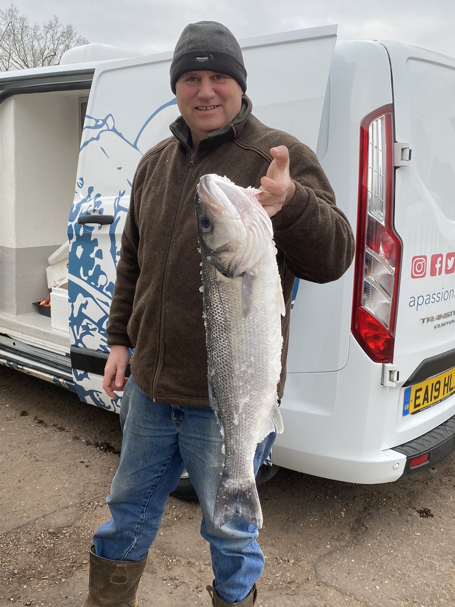PassionSeafood's tweet photo. New season long-lined wild bass. #suffolkheritagecoast @FishKittiwake #apassionforseafood #call4fish https://t.co/LfwXHryMFY