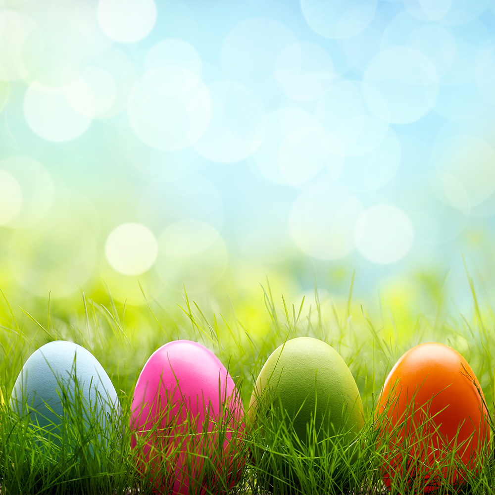 Spring is here! Happy Easter to those who celebrate, from the team at USAePay.