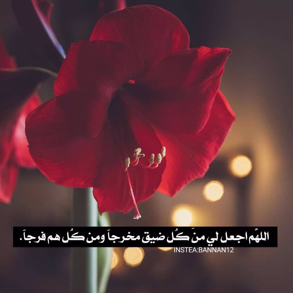 faisal_mayea's tweet photo. تشتد آلام الانسان عند الليل وتزاد همومه 
فيارب ارزقنا اطمئنان وسكينة بحق رأفتك الواسعة
#تصبحون_على_هموم_مكشوفة 💔🤲
#حدث_بطاقتك_ياحشداوي #الطلاب_تستغيث_الكاظمي #ستنتصر_ثوره_تشرين https://t.co/kF4uCExQN3