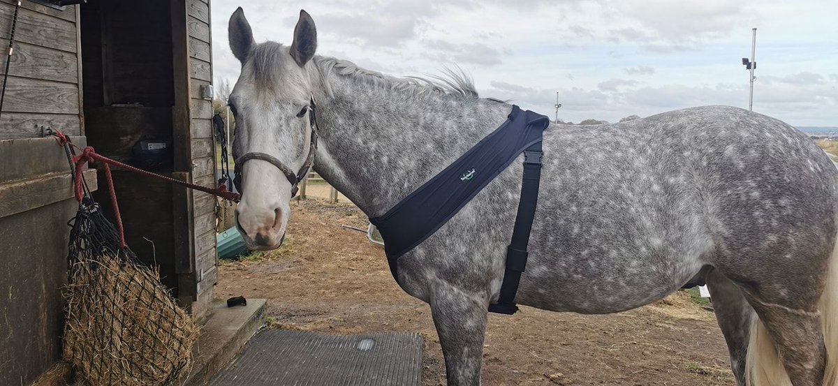 Trackener tweet media