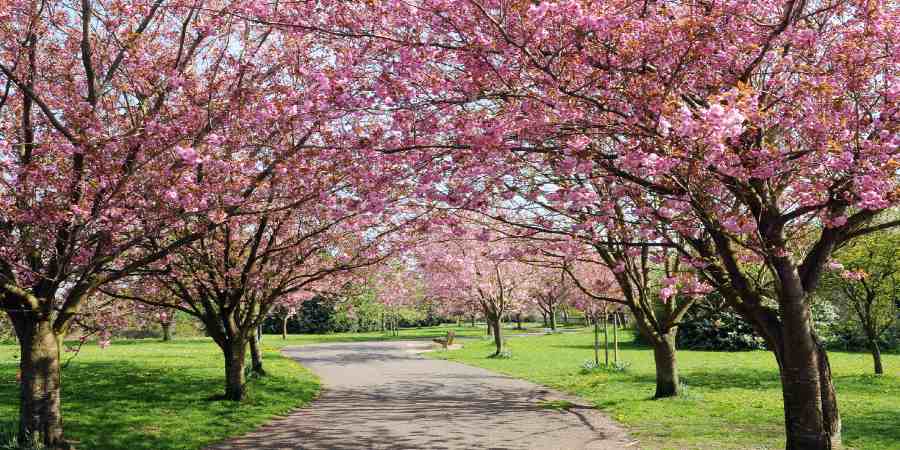 HabitMinder's tweet photo. Step into Spring by keeping up the good habits - https://t.co/GP3WiEJ9sc https://t.co/X0K3Ilnvaz