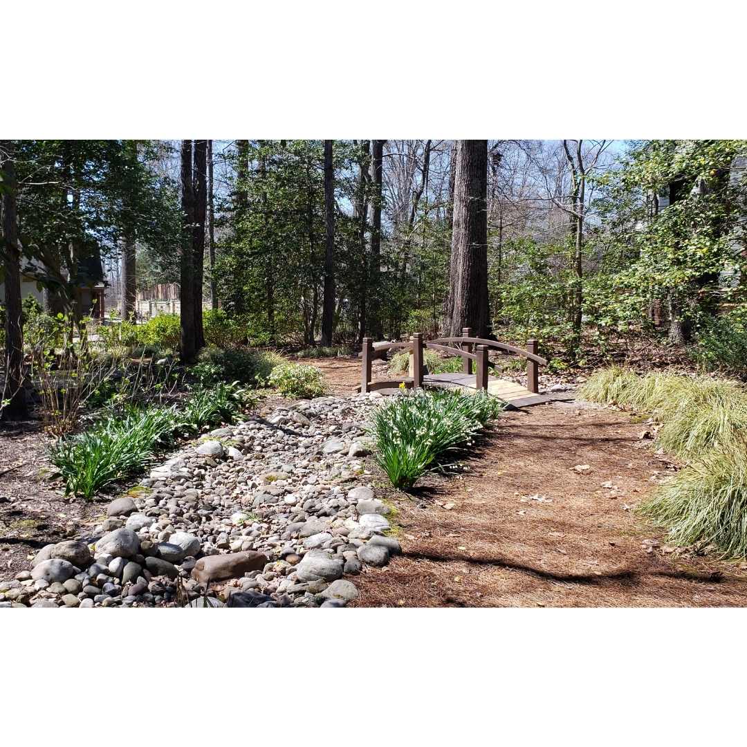UnityBonAir's tweet photo. Sights from the Unity of Bon Air grounds and Meditation Garden - open daily dawn to dusk. Come by for a stroll and enjoy springtime in bloom. https://t.co/2miqMNE4nX