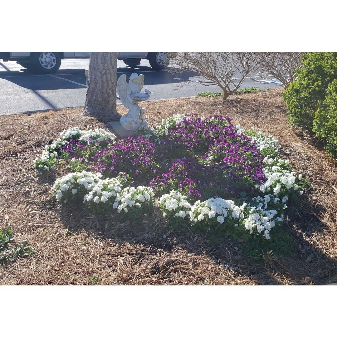 UnityBonAir's tweet photo. Sights from the Unity of Bon Air grounds and Meditation Garden - open daily dawn to dusk. Come by for a stroll and enjoy springtime in bloom. https://t.co/2miqMNE4nX