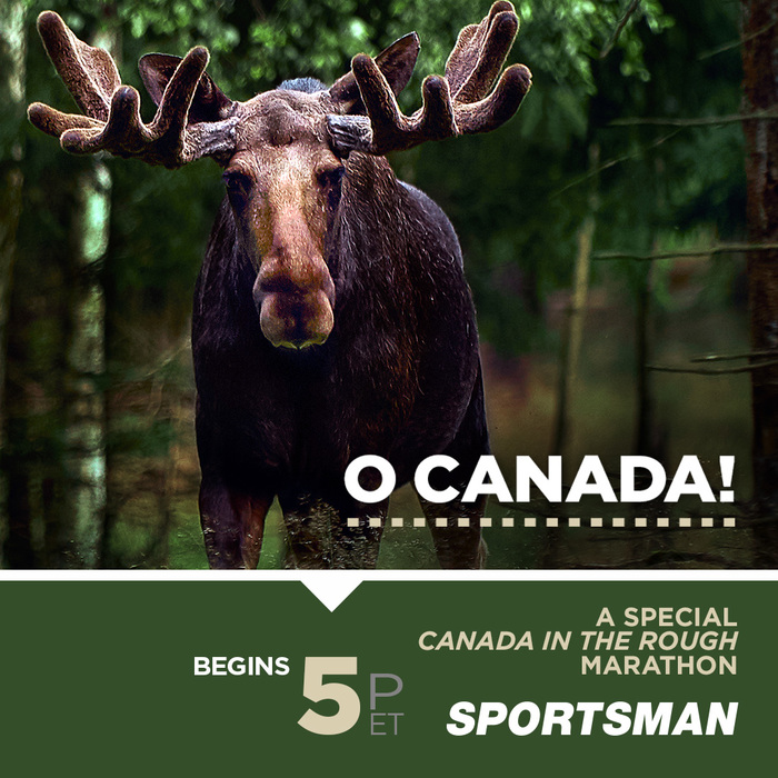 SPORTSMANchnl's tweet photo. If you've ever wanted to hunt Canada, you'll want to join us for our "O Canada" salute tomorrow at 5 PM ET. We bring you a special Canada in the Rough My Saturday Marathon.
#IAMSPORTSMAN #hunting #canada #canadaintherough #moose #moosehunting #canadianhunting #huntingcanada https://t.co/oKqv1agvXR