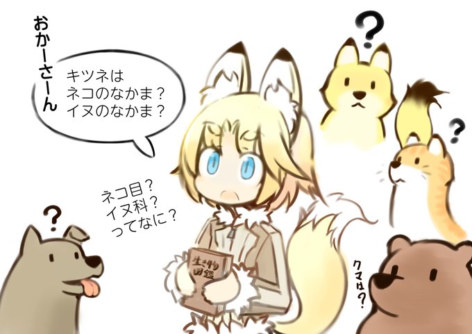 小狐の疑問。 
