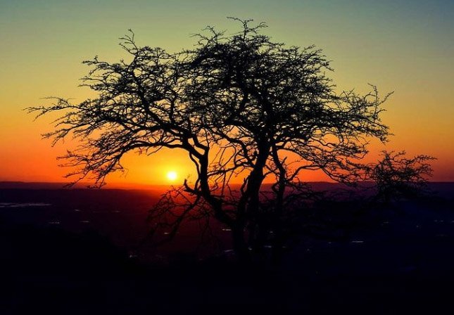 #deerleap #mendiphills #sunset #westcountry #countryside #backtonature #StormHour #timjdyerphotography