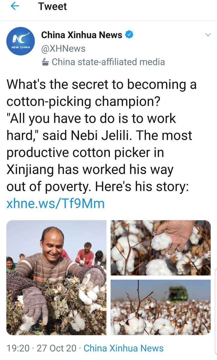 Adrian Zenz tweet media