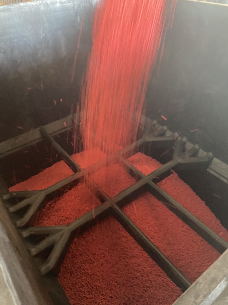 Treating the first soybeans of the season