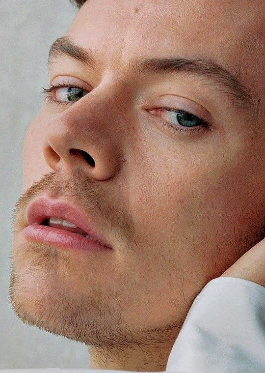 wmsrry's tweet photo. the category is face and harry styles is winning https://t.co/cZ969r6CsP