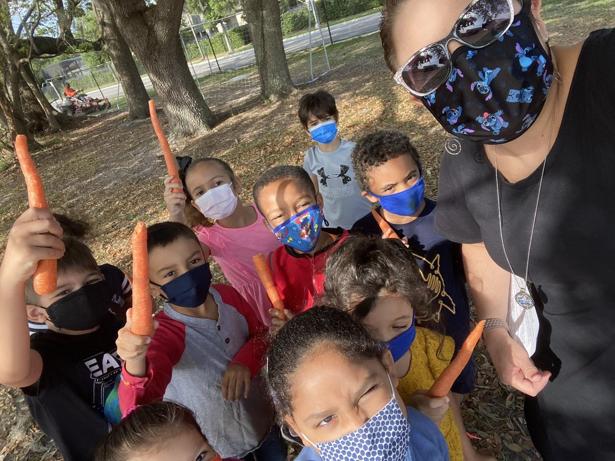 Castleview First Grade tweet media