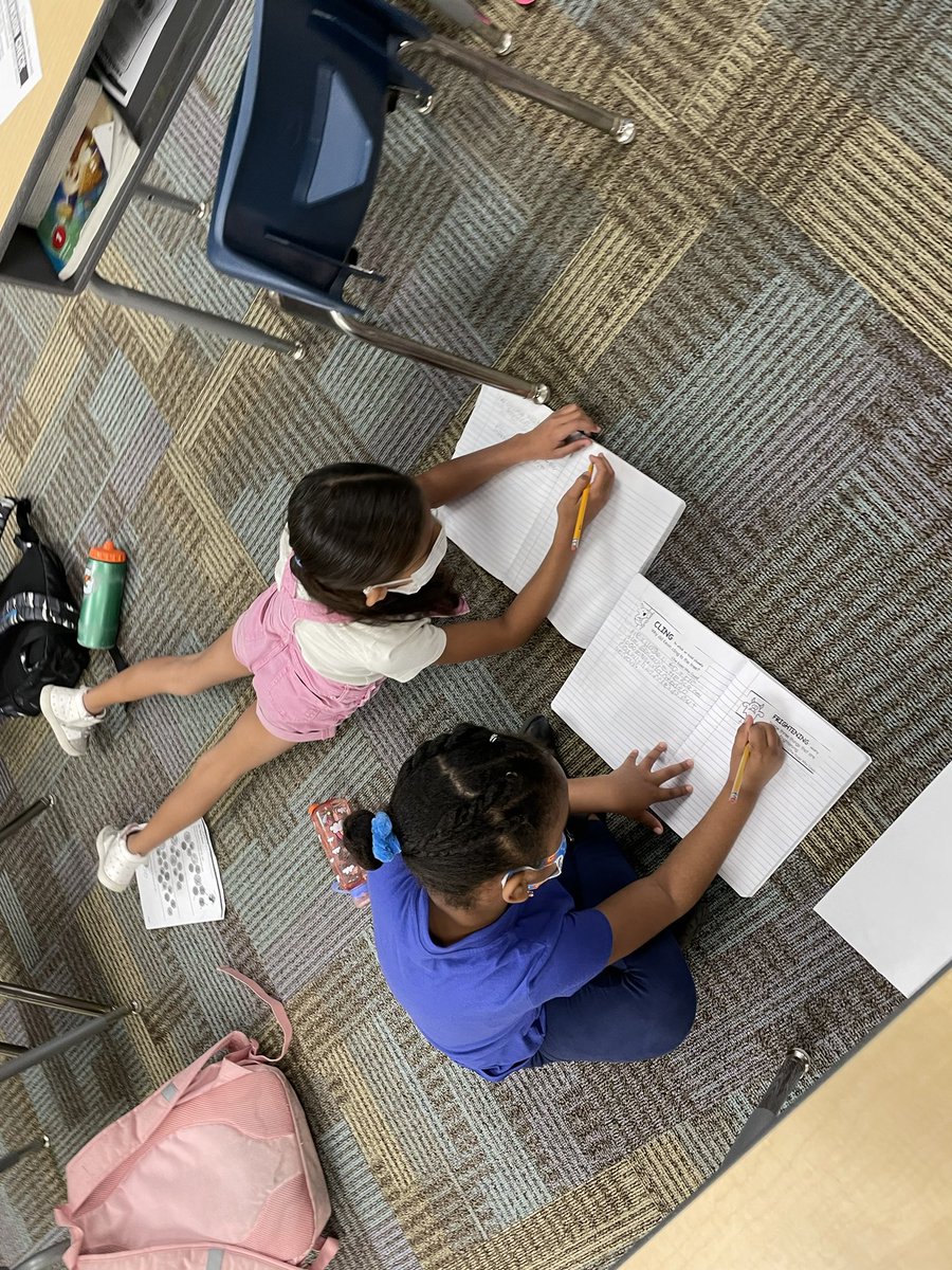 Castleview First Grade tweet media