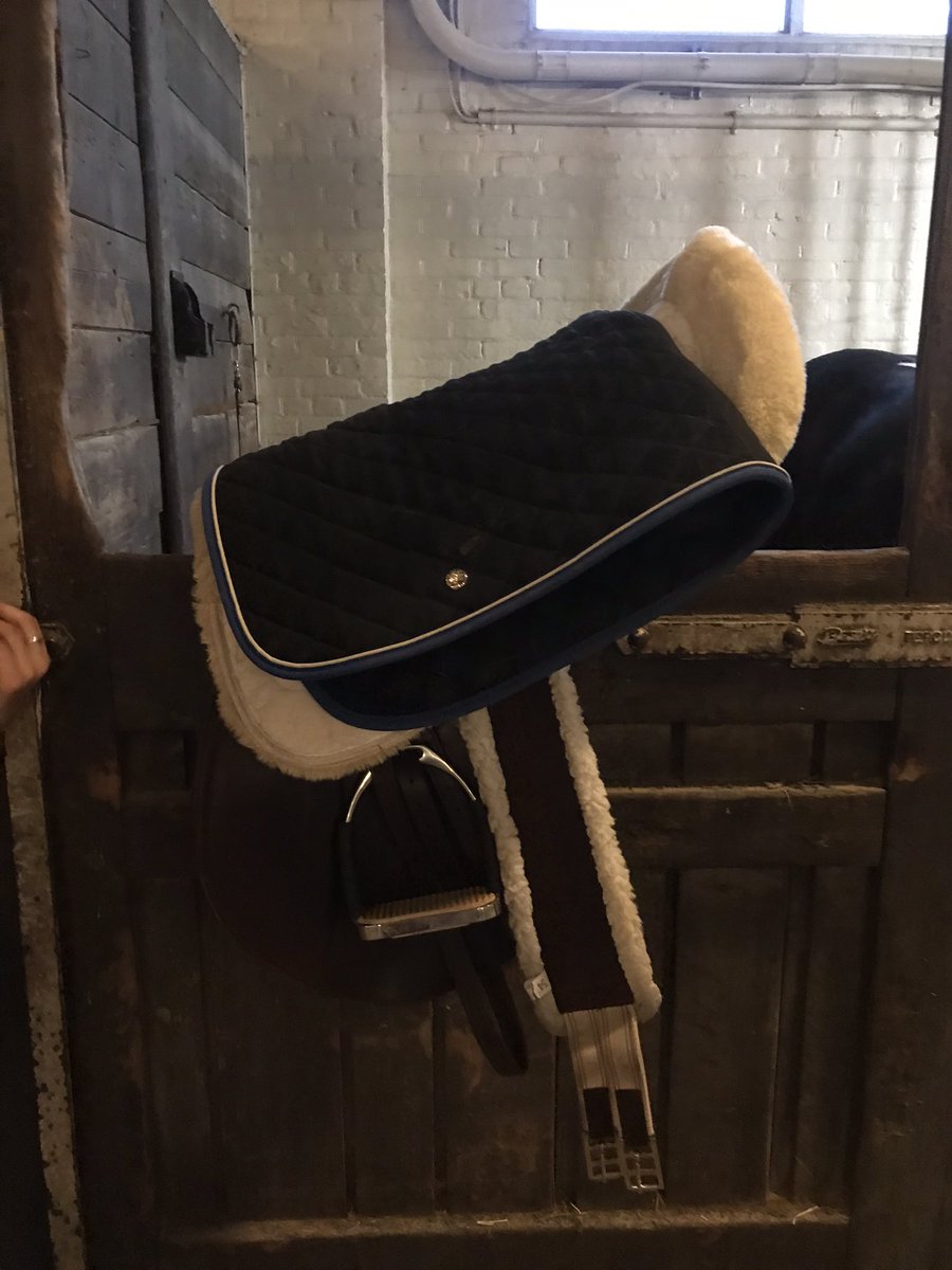 PoshHausRealtor's tweet photo. She is thrilled to be back at HP...
Thank you @tdotequestrian https://t.co/LpdCzmt2FL