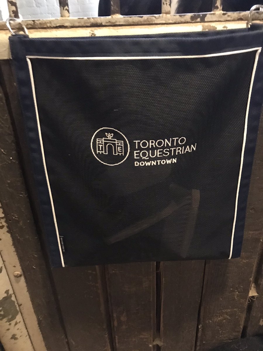 PoshHausRealtor's tweet photo. She is thrilled to be back at HP...
Thank you @tdotequestrian https://t.co/LpdCzmt2FL