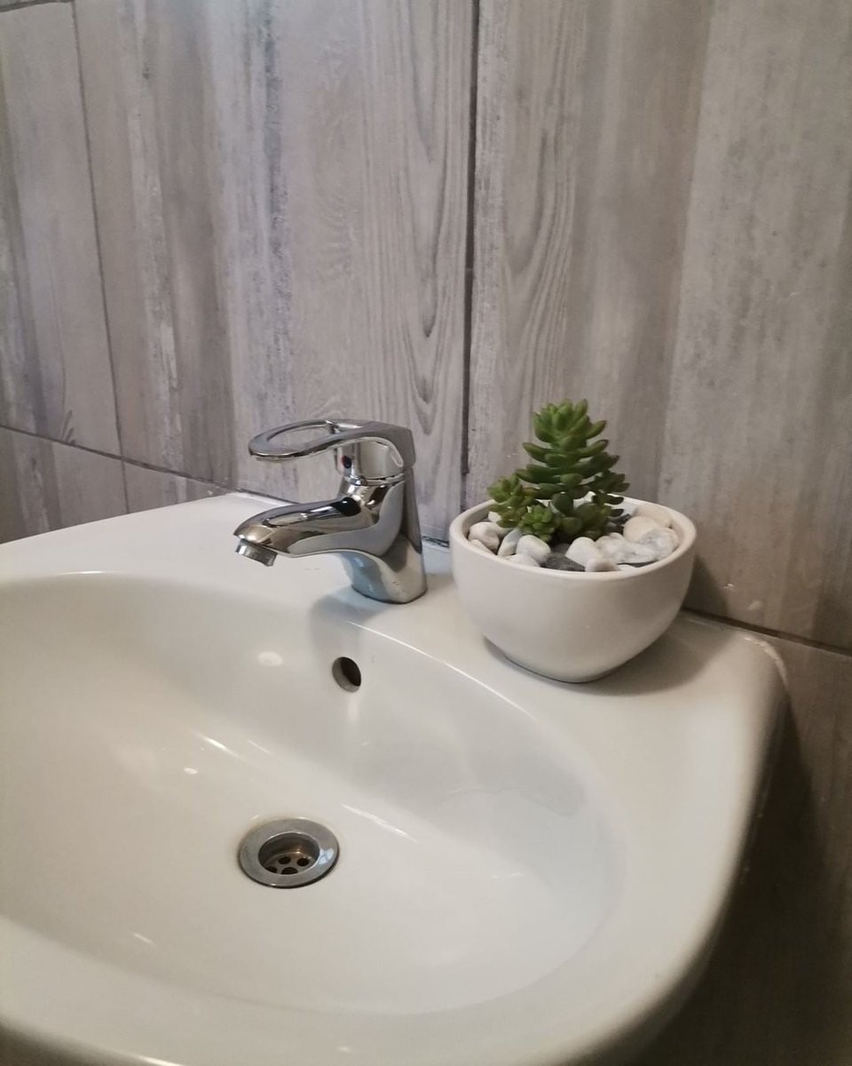 SavvyMav3rick's tweet photo. Imagine these in your bathroom 😍❤️
#CleanAir
#CleanEnvironments
Contact me us on 75062041 for your sacculents 💯😊 https://t.co/MRFEhSt4Qc
