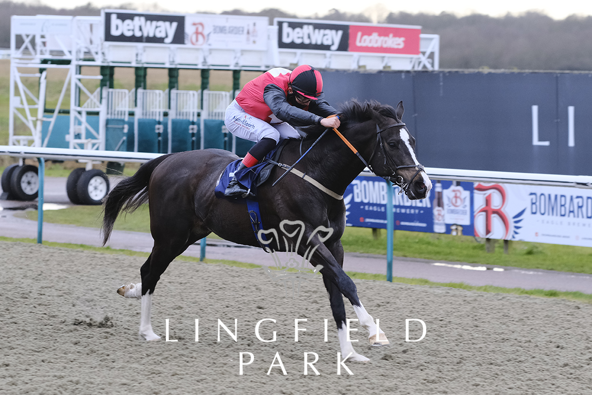 LingfieldPark's tweet photo. RACE 7 RESULT – Heed Your Hunch At @Betway Handicap

🥇 Hey Ho Let's Go
🥈 Aguerooo
🥉 Dubai Paradise

Jockey: Angus Villiers

Trainer: Mark Hoad 

Owners: Mrs K B Tester

📸: @JH_photographer https://t.co/sS0a1p2aew