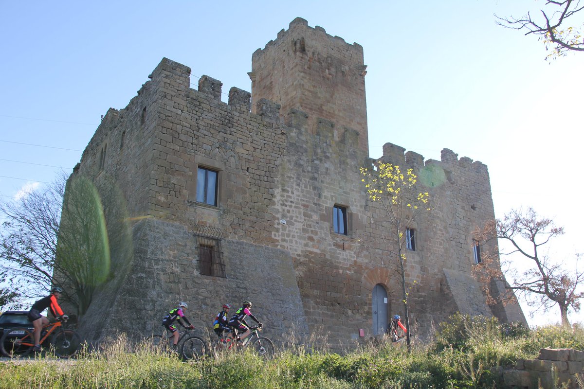 Pedal Medieval tweet media