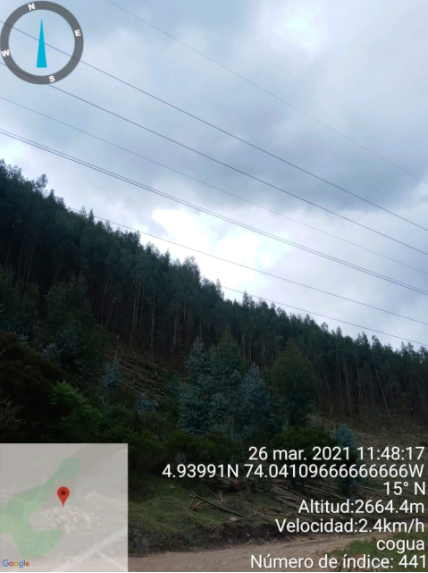 EnelClientesCO's tweet photo. [12:12 p.m.] #Atención Durante la revisión en terreno se encontró un grupo de particulares realizando podas muy cerca a las líneas de Alta Tensión. https://t.co/3ZjOAZz2pR