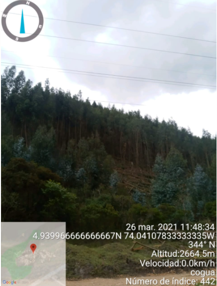 EnelClientesCO's tweet photo. [12:12 p.m.] #Atención Durante la revisión en terreno se encontró un grupo de particulares realizando podas muy cerca a las líneas de Alta Tensión. https://t.co/3ZjOAZz2pR