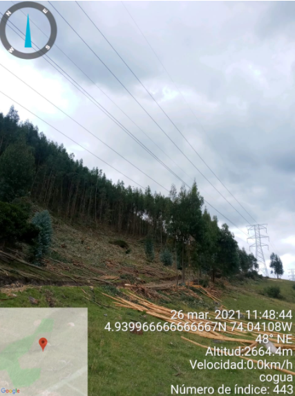 EnelClientesCO's tweet photo. [12:12 p.m.] #Atención Durante la revisión en terreno se encontró un grupo de particulares realizando podas muy cerca a las líneas de Alta Tensión. https://t.co/3ZjOAZz2pR