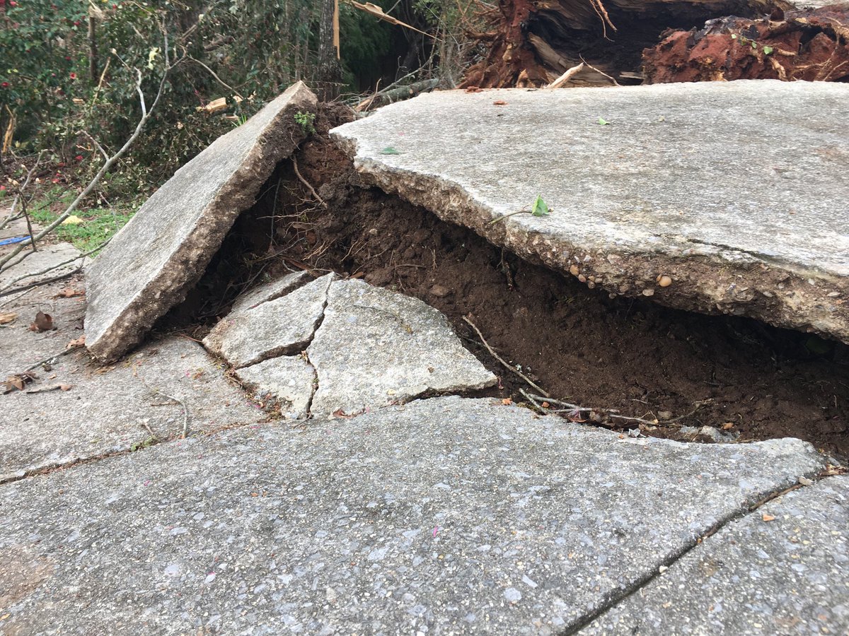 BryanHenryWBRC's tweet photo. Cargile Creek Lake Mitchell in Chilton County. Stories of holding on to dear life and praying the ‘Our Father’ during a storm that left a mess! WSFA 12 News 4/5/6/10. https://t.co/REeY47H22u