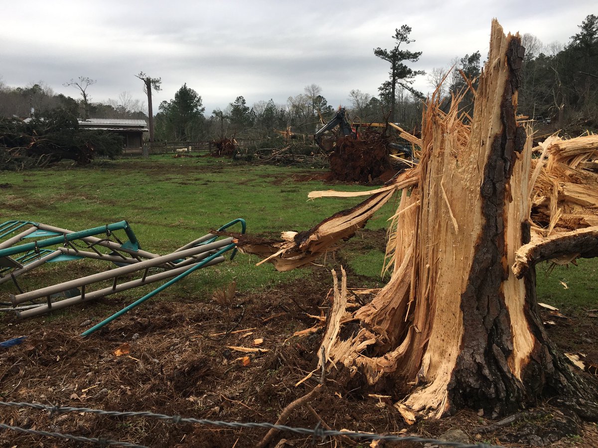 Cargile Creek Lake Mitchell in Chilton County. Stories of holding on to dear life and praying the ‘Our Father’ during a storm that left a mess! WSFA 12 News 4/5/6/10.