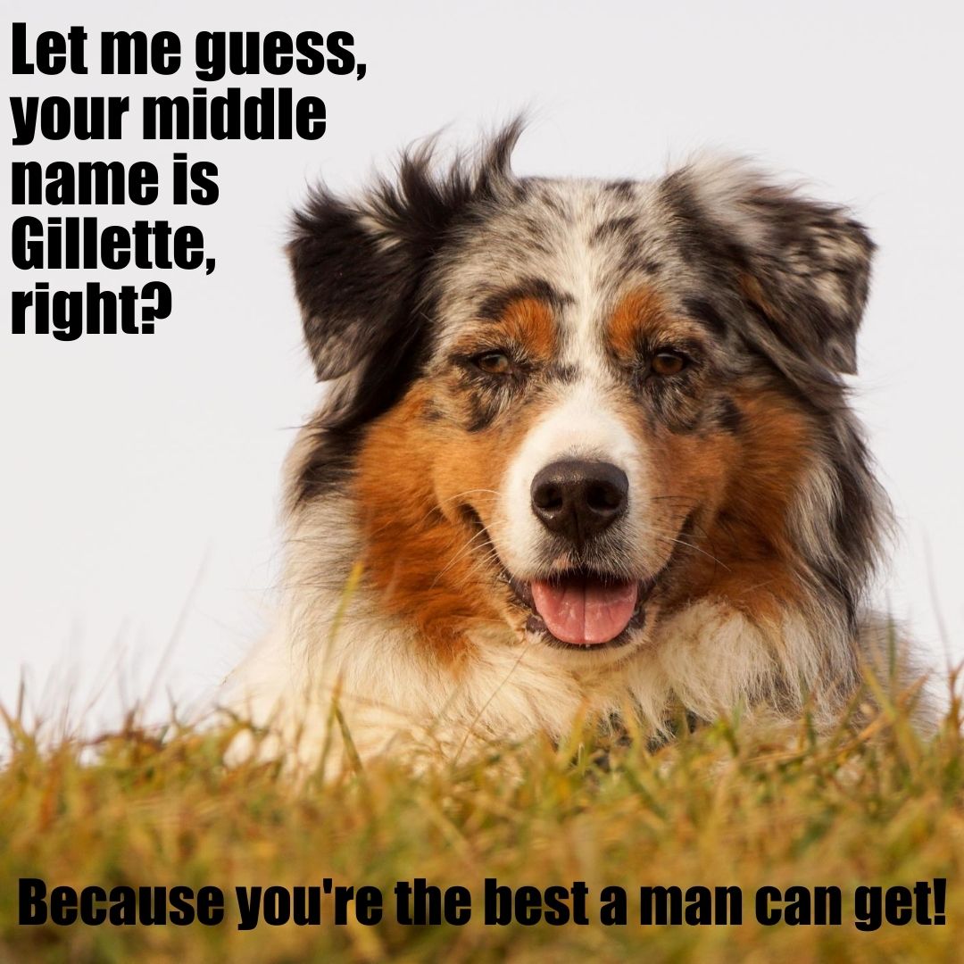 Prized_Pet's tweet photo. It's Flirty Friday!

Oh boy. What would you say to this one? 🧐

https://t.co/vMPggGseOU

#flirtyfriday #prizedpet #pickuplines https://t.co/qgZ19xgcoT