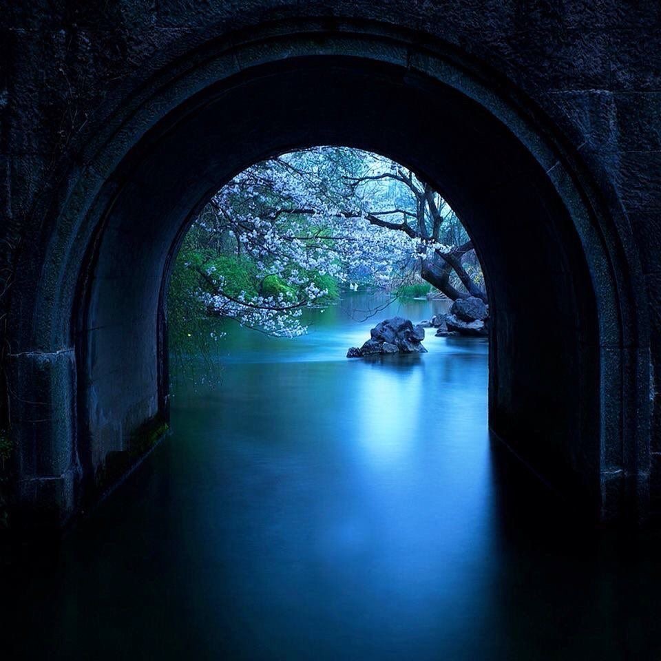 ramblingsloa's tweet photo. Peace can become a lens through which you see the world.
Be it.
Live it.
Radiate it out. 
Peace is an inside job.

Wayne Dyer https://t.co/xASdABbmb6