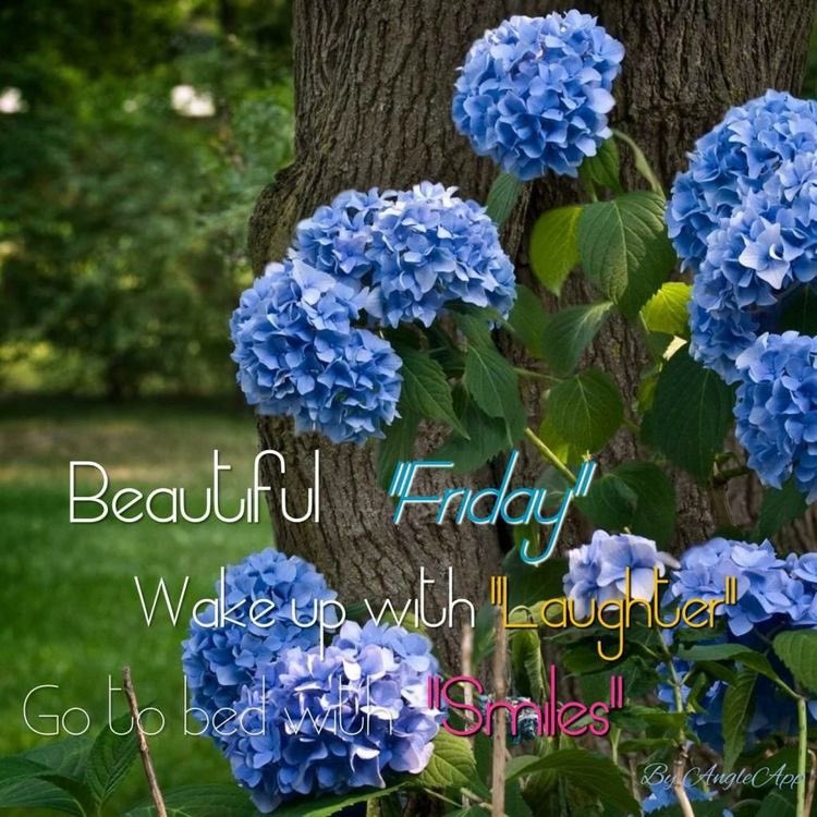Lady D (@dianne__ladyd) on Twitter photo <a href="/pkamla1/">Kamla</a> <a href="/Shahbaz09878/">🌟💙🌟Shahbaz.....9878</a> <a href="/barbadosgal/">Karen Sanderson</a> <a href="/LadyWiseWorld/">©Lady Wise</a> <a href="/MeAahana/">Aahana</a> <a href="/PrachiMalik/">Prachi Malik</a> <a href="/mindfulheal/">Kylie Riordan</a> <a href="/streamlinefituk/">Katharine Read OLY</a> <a href="/Sunita_Says_/">Sunita Chadha</a> @Inspireu2Action <a href="/loveGoldenHeart/">💛Christina Goebel, M.A.</a> <a href="/NoorioZehra/">I am Noor</a> <a href="/LeafsGirl4life/">Stef🍁Girl4Life 🇨🇦</a> <a href="/monibhachu/">Moni</a> Thank you Kamla, wishing #everyone a beautiful day!
#FridayFeelings <a href="/pkamla1/">Kamla</a> <a href="/Shahbaz09878/">🌟💙🌟Shahbaz.....9878</a> <a href="/barbadosgal/">Karen Sanderson</a> <a href="/LadyWiseWorld/">©Lady Wise</a> <a href="/MeAahana/">Aahana</a> <a href="/PrachiMalik/">Prachi Malik</a> <a href="/mindfulheal/">Kylie Riordan</a> <a href="/streamlinefituk/">Katharine Read OLY</a> <a href="/Sunita_Says_/">Sunita Chadha</a> @Inspireu2Action <a href="/loveGoldenHeart/">💛Christina Goebel, M.A.</a> <a href="/NoorioZehra/">I am Noor</a> <a href="/LeafsGirl4life/">Stef🍁Girl4Life 🇨🇦</a> <a href="/monibhachu/">Moni</a> Thank you Kamla, wishing #everyone a beautiful day!
#FridayFeelings