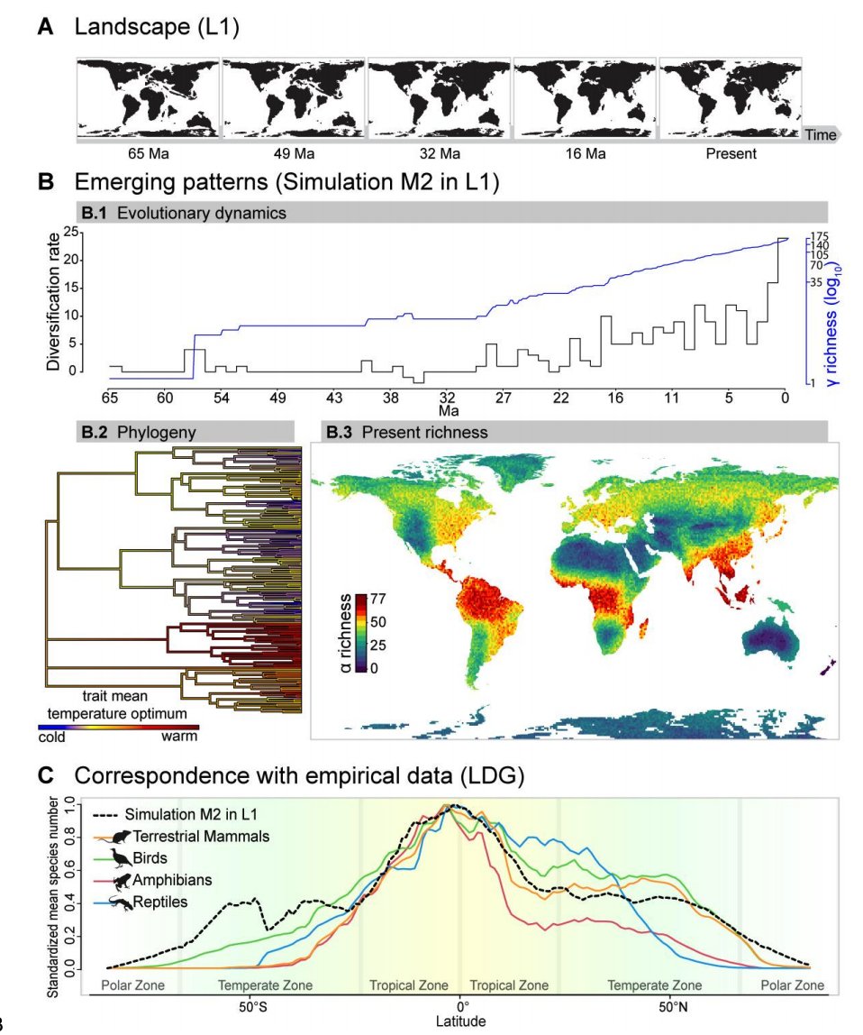 loic_pellissier's tweet photo. The "#gen3sis: the general engine for eco-evolutionary simulations on the origins of biodiversity" method paper led by @hagen_oskar is in preprint. Using deep past reconstructions to predict the emergence of #biodiversity patterns globally. https://t.co/bLASvJePut https://t.co/nQiaPlSfwd